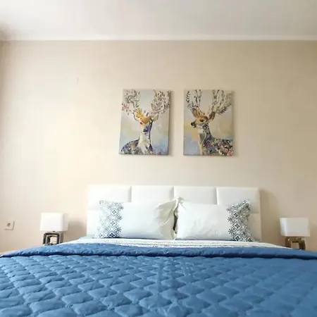 New Stylish Near Center بلوفديف